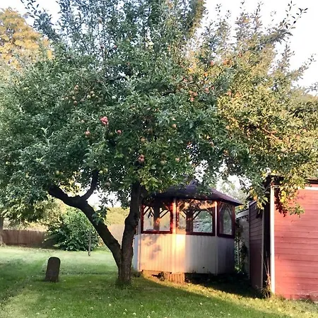 Ferienwohnung Rebenlaub Heringen  Exterior foto