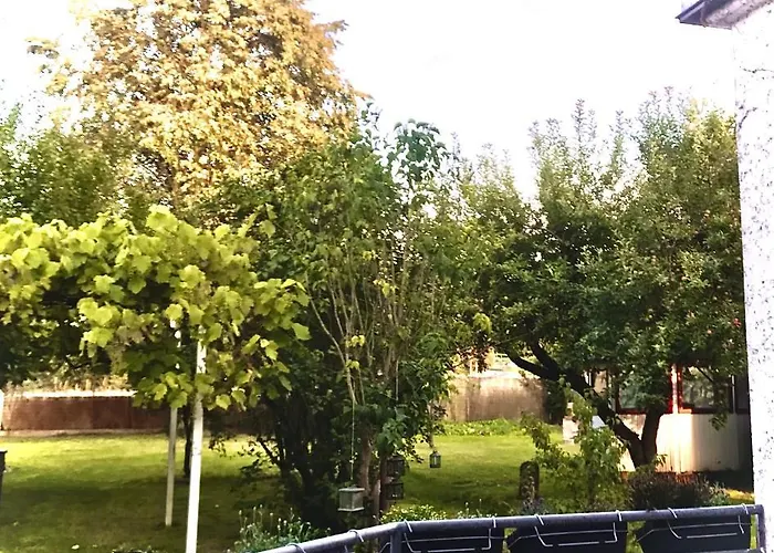 Rebenlaub